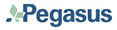 Pegasus IT Division - supporting the CIC